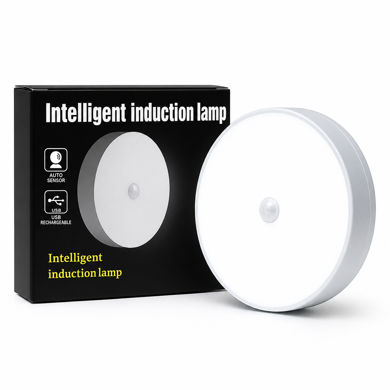 Motion Sensor Light