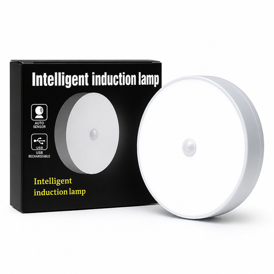 Motion Sensor Light