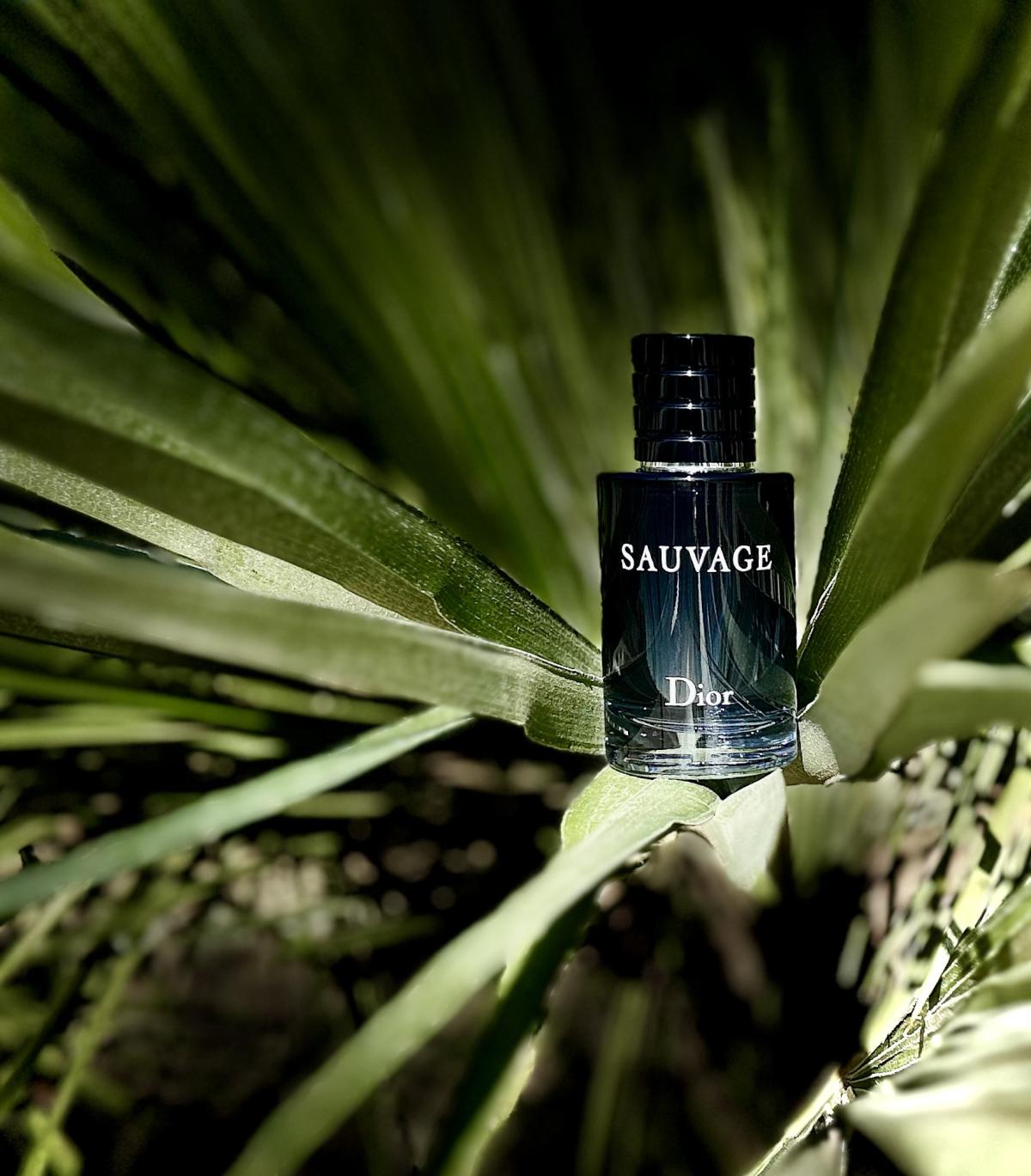 Dior Sauvage (Original Master Copy)
