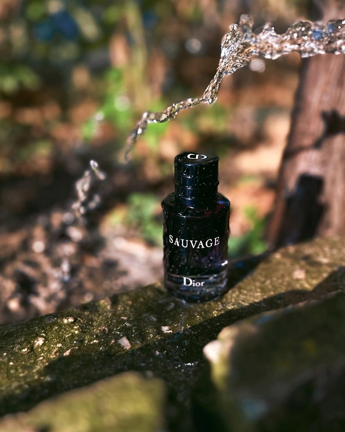 Dior Sauvage (Original Master Copy)